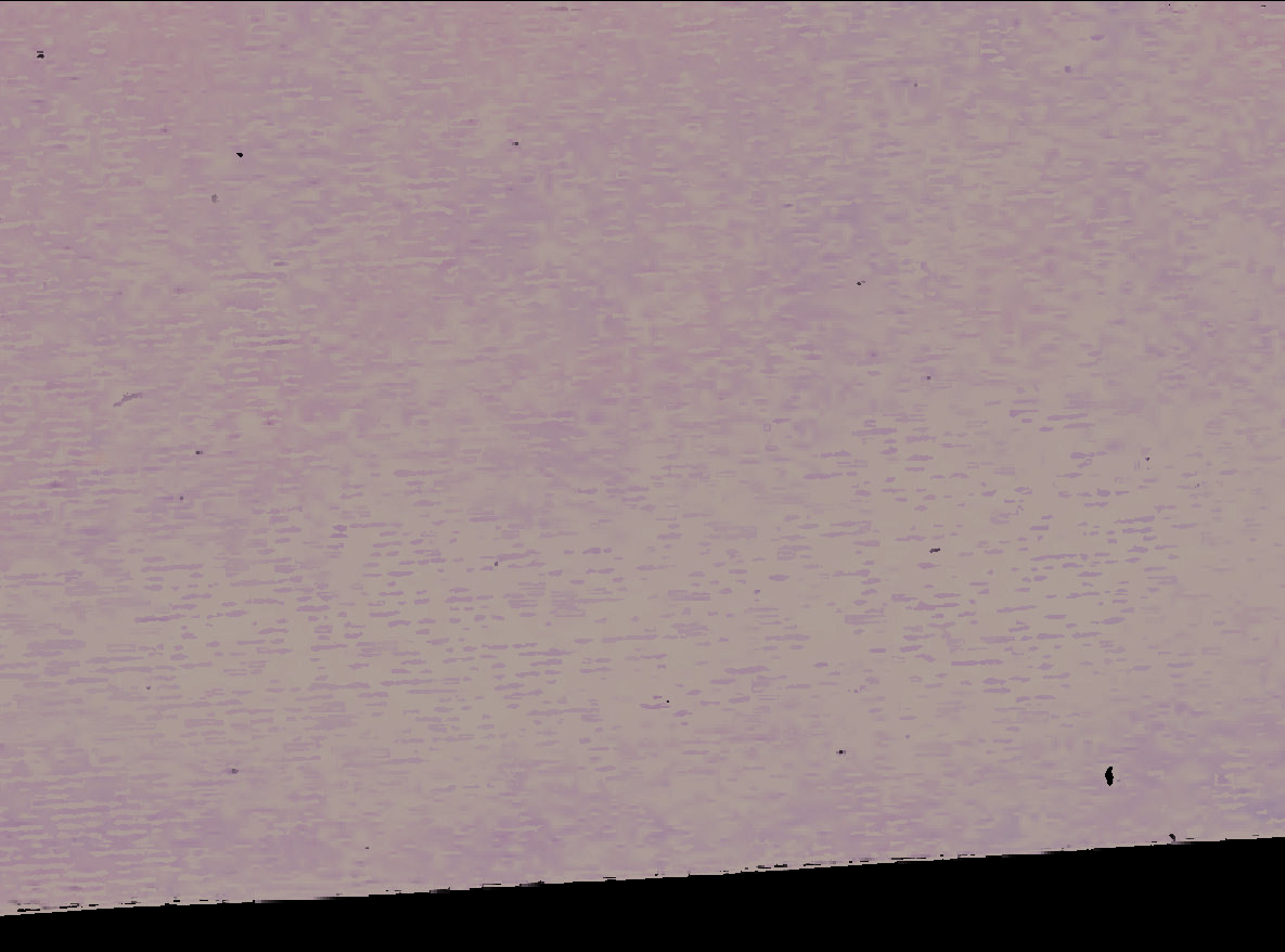 land- und forstwirtschaftlich genutztes Grundstück in Ockstadt - Bild 4