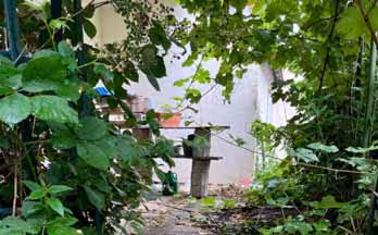 Mehrfamilienhaus, Garage in Sylbeckestraße 3, 32756 Detmold - Bild 5