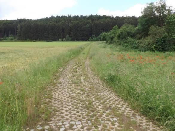 Betriebsfläche, Landwirtschaftsfläche, Waldfläche in Walting - Bild 1