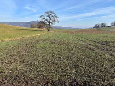 land- und forstwirtschaftlich genutztes Grundstück in Auf dem Eichs- und Wolfsberge, 34270 Schauenburg - Bild 1