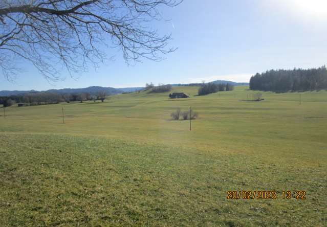 land- und forstwirtschaftlich genutztes Grundstück in Maierhöfen - Bild 1