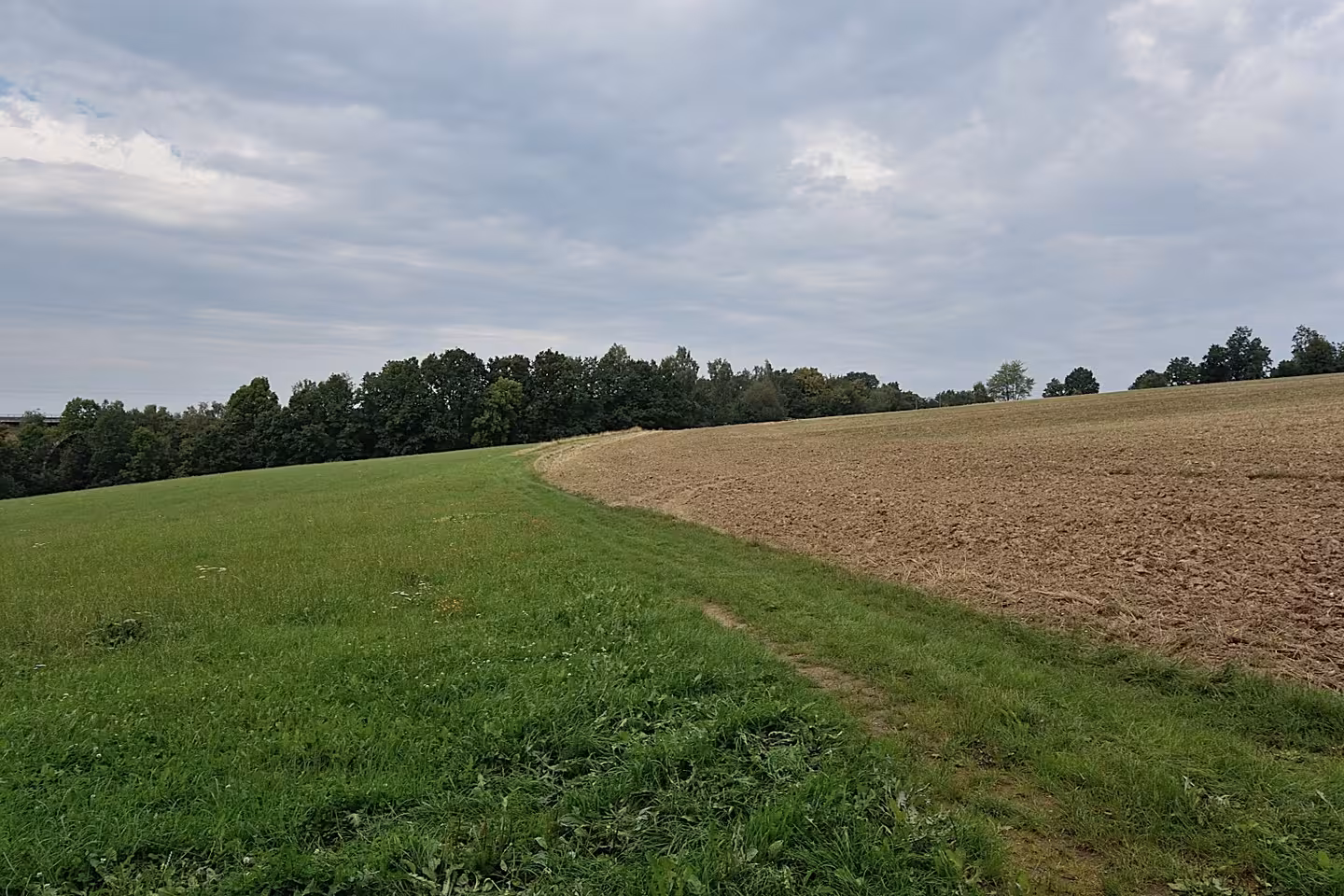 land- und forstwirtschaftlich genutztes Grundstück in Oberschöna - Bild 4