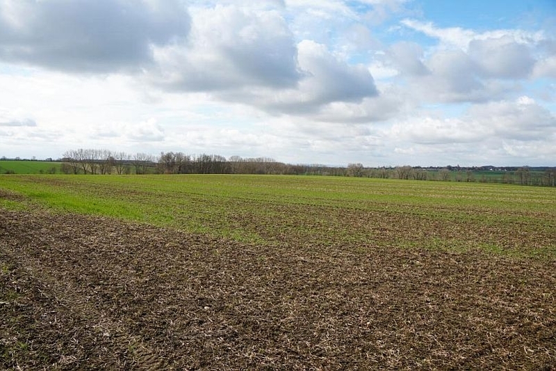 Landwirtschaftsfläche in Wanzleben-Börde - Bild 3
