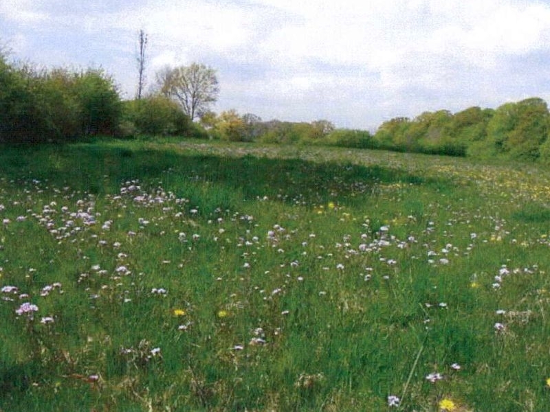 Wohnhaus mit Scheune und Grünlandflächen in Groß Boden - Bild 1