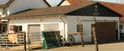 land- und forstwirtschaftlich genutztes Grundstück, Einfamilienhaus, Wohnhaus und Pferde-Immobilie in Schönthal 3, 34439 Willebadessen - Bild 1