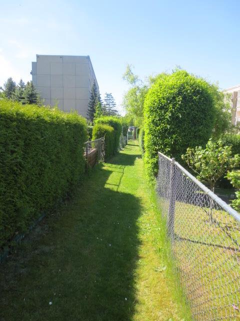 Sonstiges, Kl in Auerbach/Vogtland - Bild 2