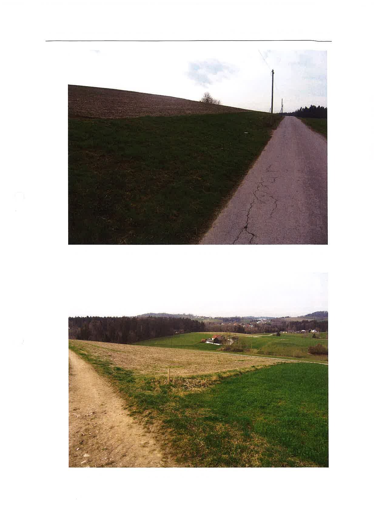 land- und forstwirtschaftlich genutztes Grundstück in Rappenhof - Bild 4