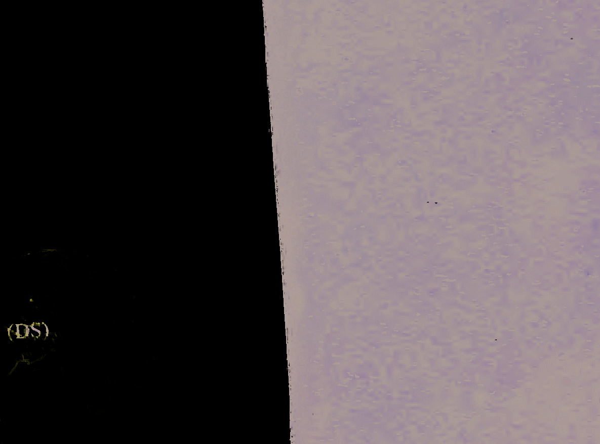 land- und forstwirtschaftlich genutztes Grundstück in Ockstadt - Bild 3