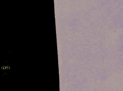 land- und forstwirtschaftlich genutztes Grundstück in Auf dem Schreiber, 61169 Friedberg (Hessen), Ockstadt - Bild 2