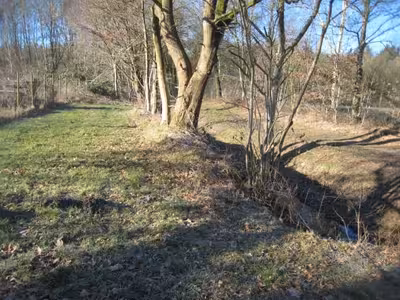 Sonstiges in Wieseder Str. 73,73a, 26446 Friedeburg - Bild 4