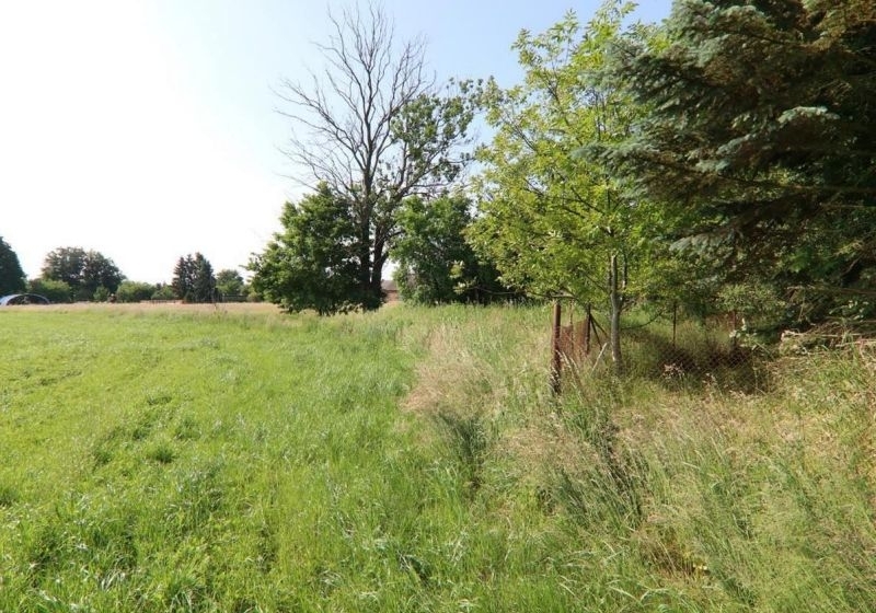 Landwirtschafts-/Waldfläche in Wiesengrund - Bild 1