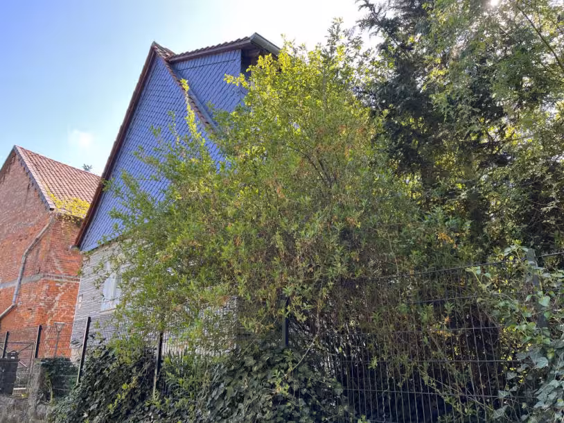 Einfamilienhaus in Schöppenstedt - Bild 4