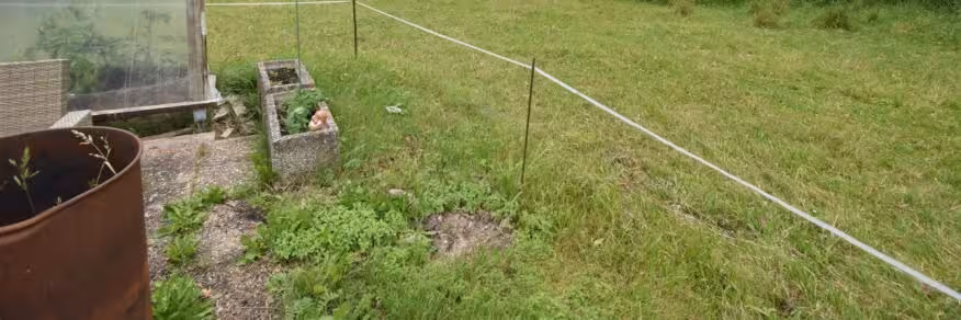 Einfamilienhaus, land- und forstwirtschaftlich genutztes Grundstück in Mörlach - Bild 14