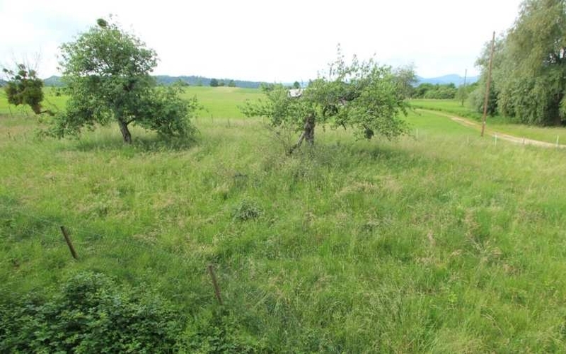Ehemaliger Aussiedlerhof in Donzdorf - Bild 1
