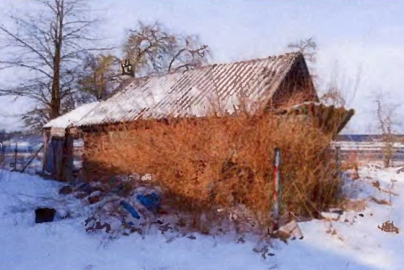 Bebautes Grundstück und Waldgrundstück in Brahlstorf - Bild 4