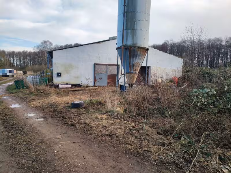 Mehrere Grundstücke der Land-/Forstwirtschaft in Bergen auf Rügen - Bild 3