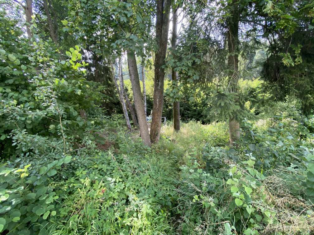 unbebautes Grundstück, Einfamilienhaus in Affolterbach - Bild 3