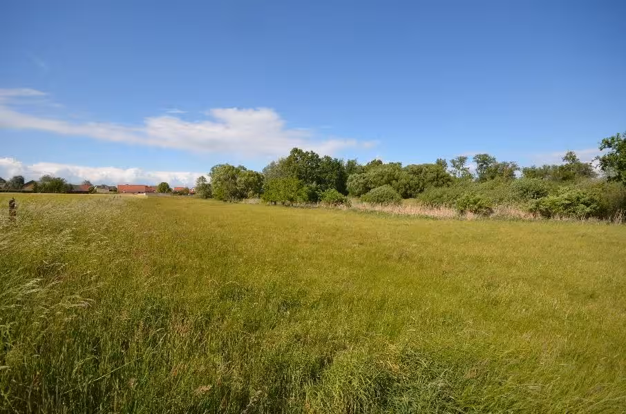 Zweifamilienhaus, land- und forstwirtschaftlich genutztes Grundstück, Sonstiges in Kremmen - Bild 1