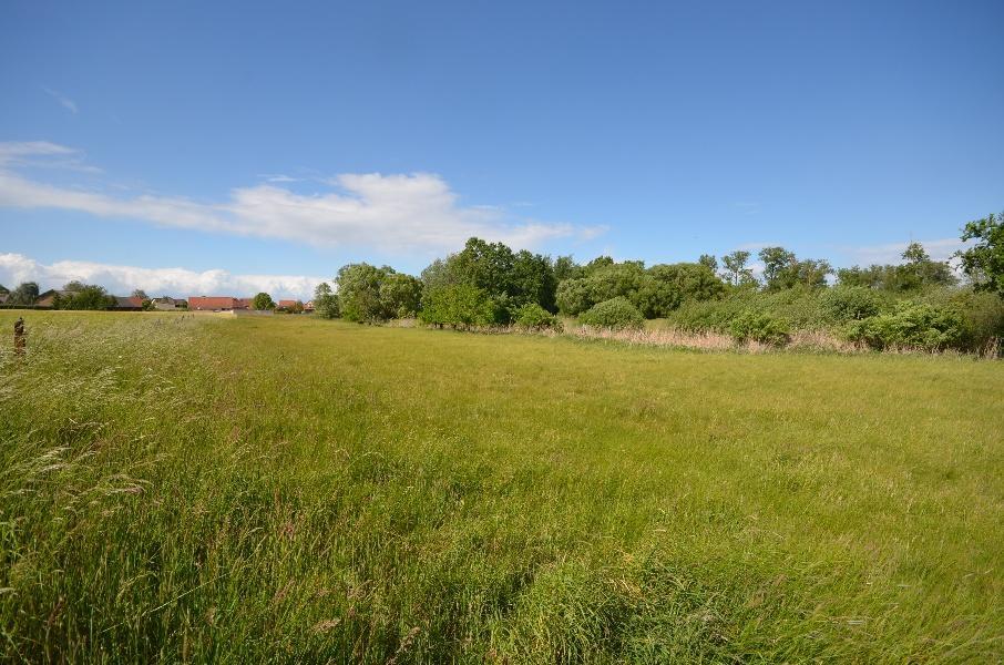 Zweifamilienhaus, land- und forstwirtschaftlich genutztes Grundstück, Sonstiges in Kremmen - Bild 1