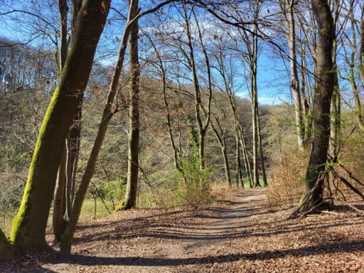 land- und forstwirtschaftlich genutztes Grundstück in Burscheid - Bild 1