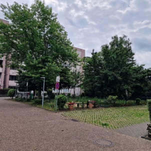 Eigentumswohnung (3 bis 4 Zimmer) in Krefeld - Bild 4