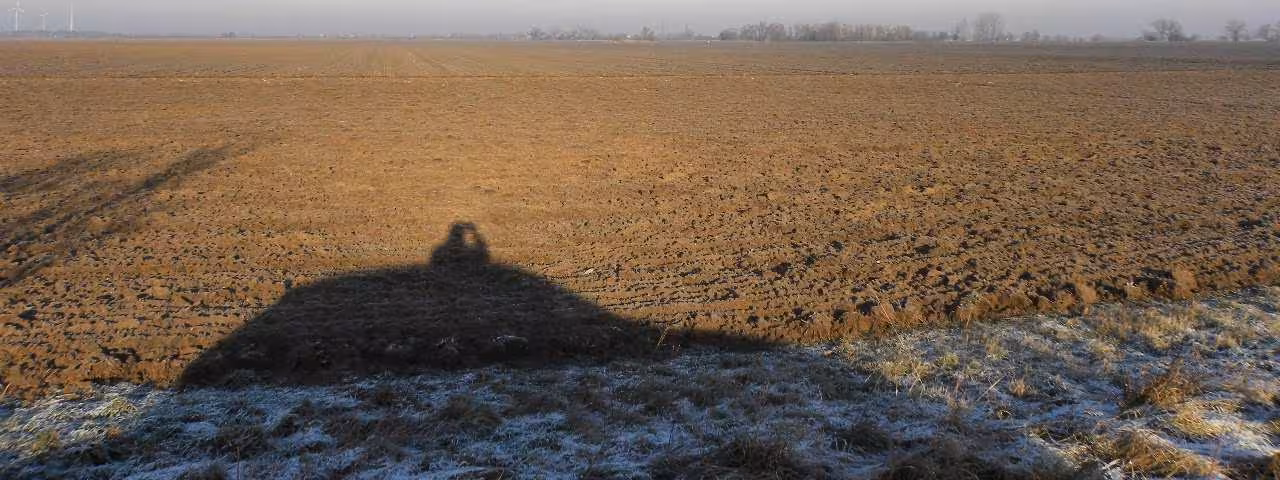 land- und forstwirtschaftlich genutztes Grundstück in null - Bild 2