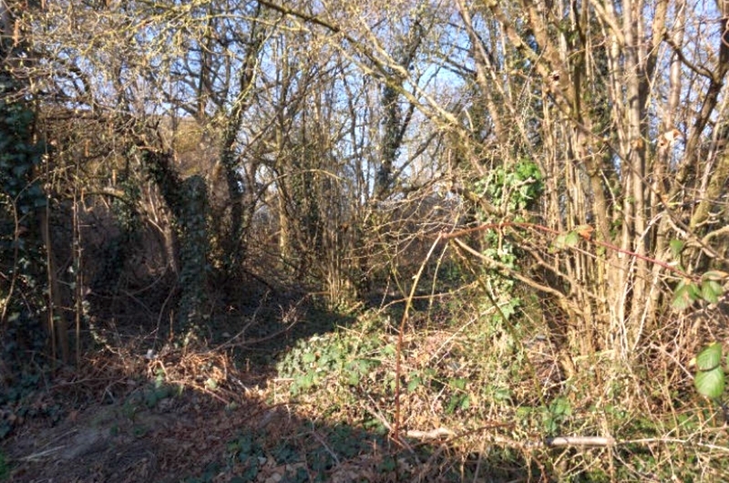 Grundstück mit abrisswürdigen Gebäuden in Angern - Bild 4