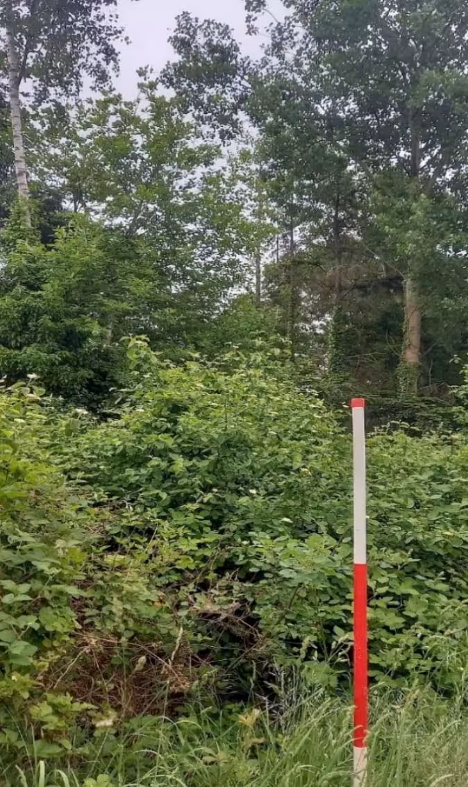 land- und forstwirtschaftlich genutztes Grundstück, Steingasser Bahn in Alfter - Bild 4