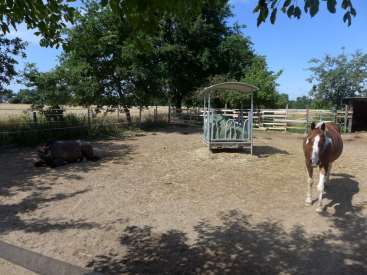 land- und forstwirtschaftlich genutztes Grundstück in Auf die Lenwehr, 63110 Rodgau, Jügesheim - Bild 1