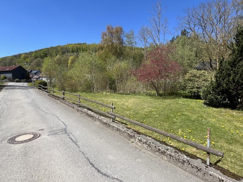 unbebautes Grundstück, Garage, Mehrfamilienhaus, zwei Garagen mit Werkstatt in Brilon - Bild 4