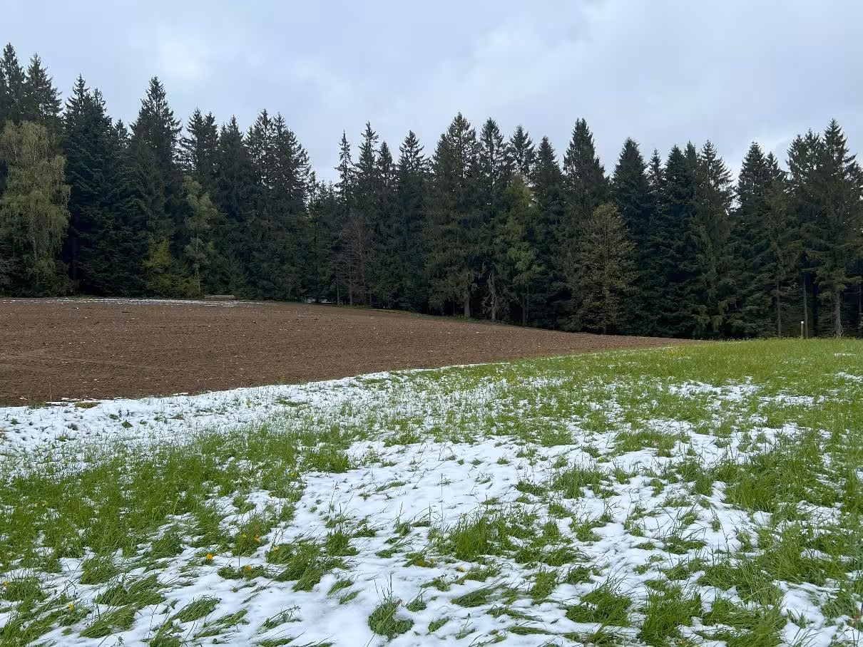 Ackerfläche in Neukirchen beim Heiligen Blut - Bild 4