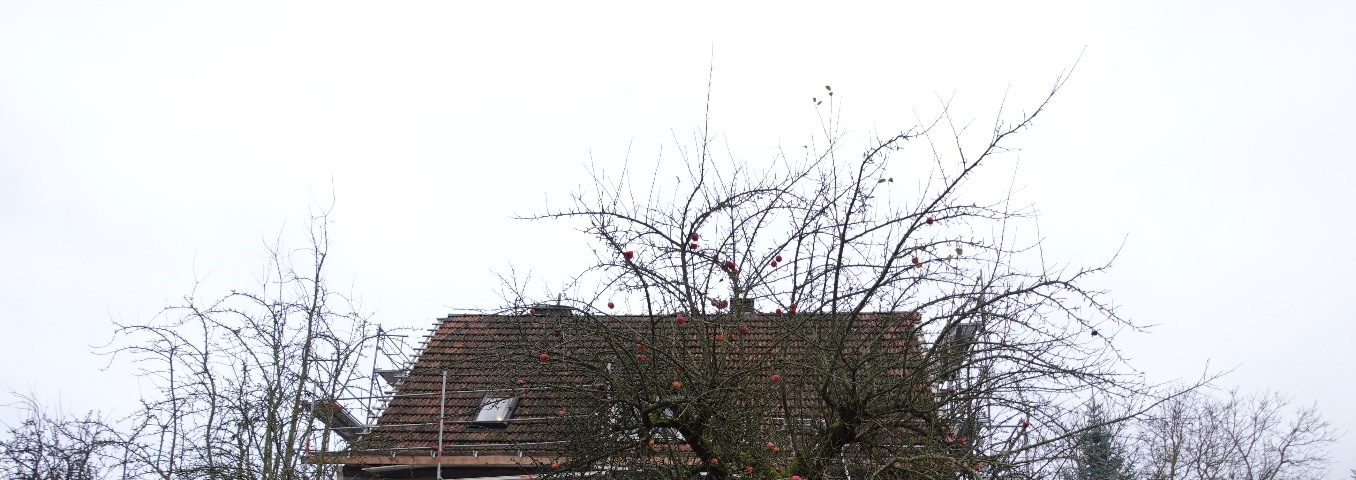 Zweifamilienhaus in Hönebach - Bild 1