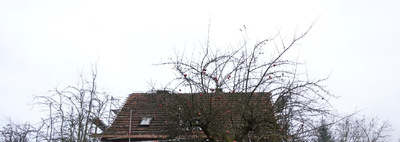 Zweifamilienhaus in Schulstraße 52, 36208 Wildeck, Hönebach - Bild 1