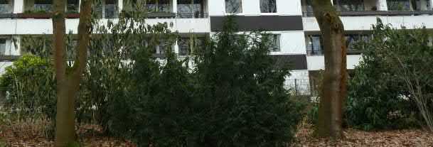 Eigentumswohnung (3 bis 4 Zimmer) in Köln - Bild 1