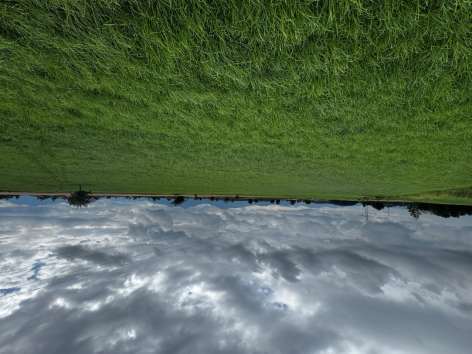 Grünland in Chieming - Bild 1