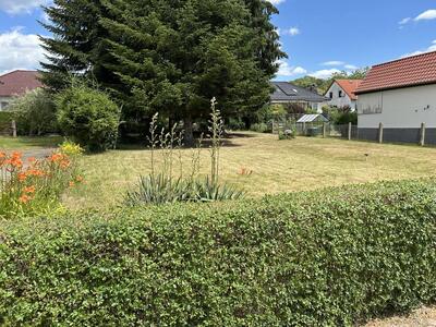 unbebautes Grundstück in Alter Stadtweg, 37574 Einbeck, Salzderhelden - Bild 2