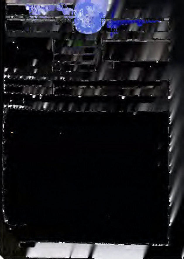 Grünland in Schmitten - Bild 4