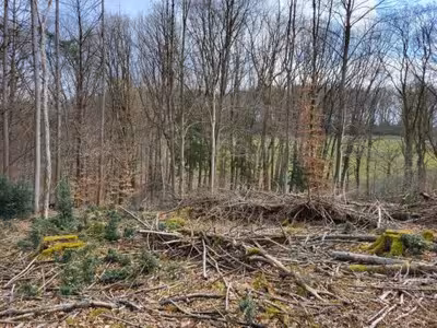 land- und forstwirtschaftlich genutztes Grundstück in Am Fischels, 51399 Burscheid, Paffenlöh - Bild 1