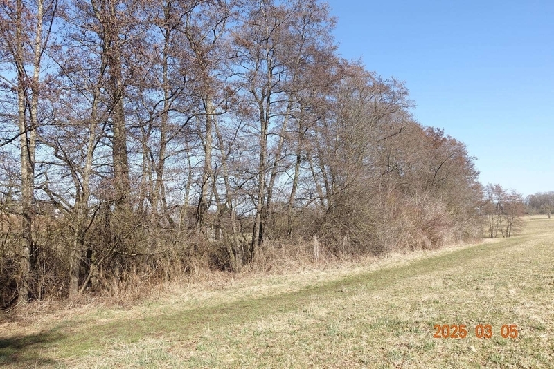 Landwirtschaftsfläche in Böblingen - Bild 2