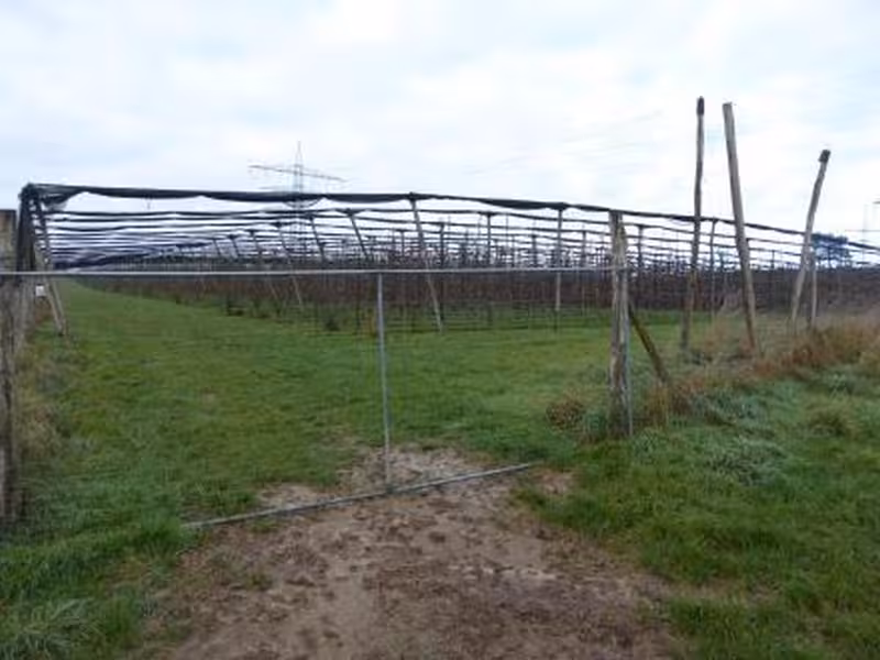 Landwirtschaftsfläche in Wiesloch - Bild 1