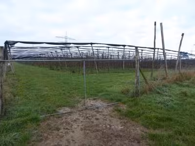 Landwirtschaftsfläche in , 69168 Wiesloch-Baiertal - Bild 1