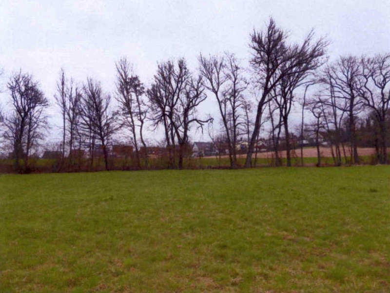 Landwirtschaftsflächen in Ludwigsburg - Bild 3