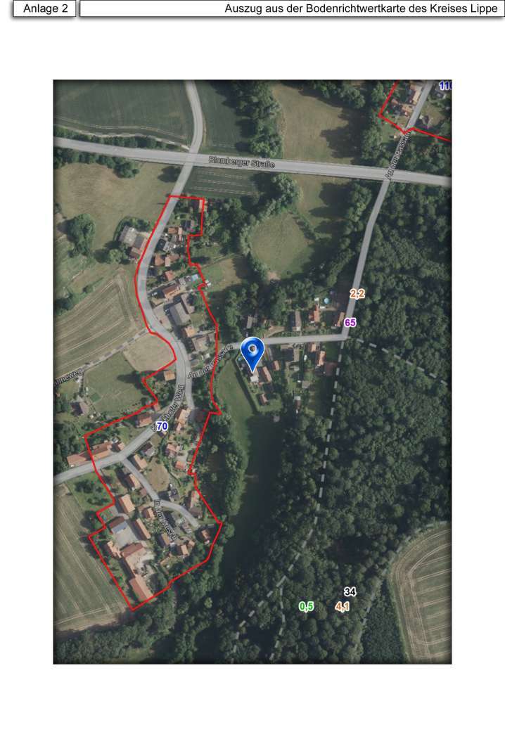 Waldfläche, Einfamilienhaus (Doppelhaushälfte) in Lemgo - Bild 3