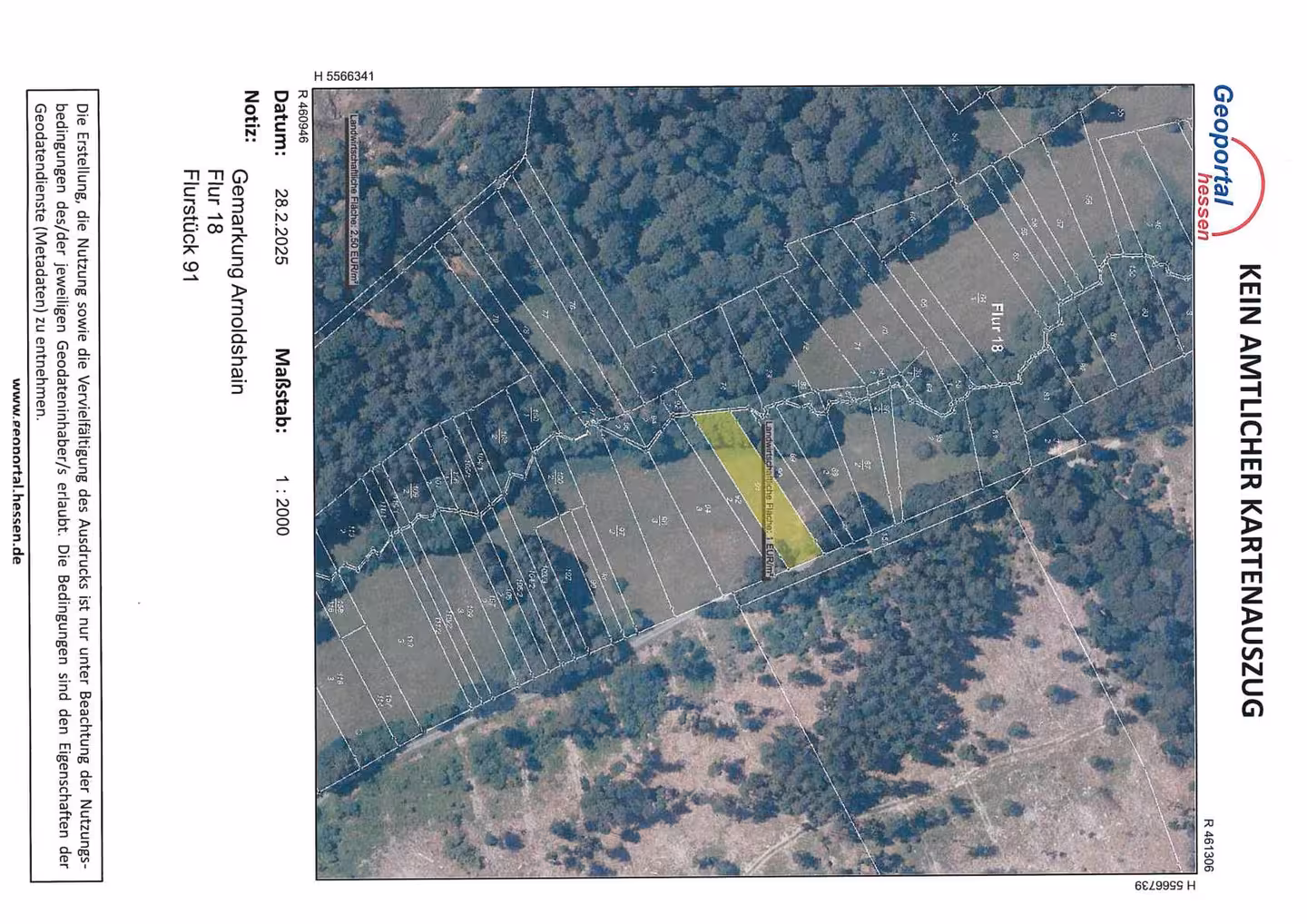 land- und forstwirtschaftlich genutztes Grundstück in Schmitten - Bild 2