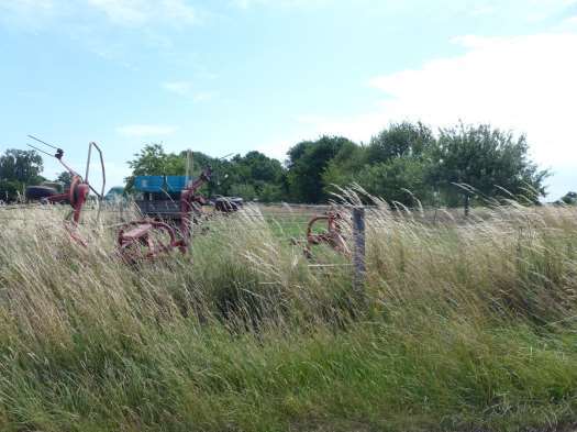 land- und forstwirtschaftlich genutztes Grundstück in Rodgau - Bild 2