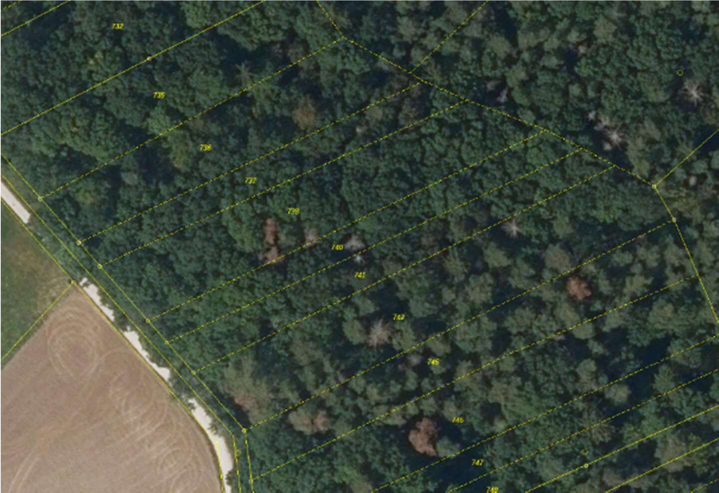 land- und forstwirtschaftlich genutztes Grundstück, unbebautes Grundstück in Strullendorf - Bild 4