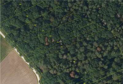 land- und forstwirtschaftlich genutztes Grundstück, unbebautes Grundstück in Hinterm Bach, 00000 Strullendorf - Bild 2