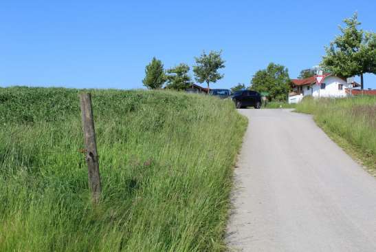 Landwirtschaftsfläche in Rimsting - Bild 4