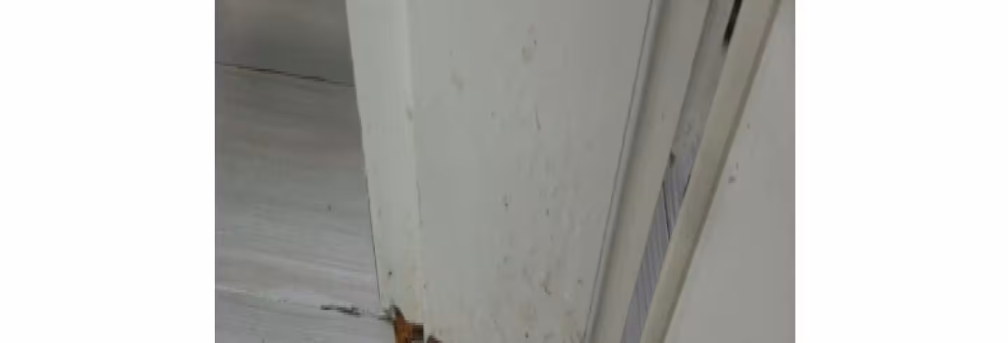 Einfamilienhaus, Reihenhaus in Sankt Augustin - Bild 13