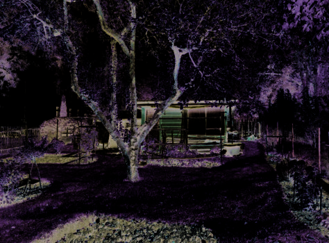 Gartengrundstück in Gotha - Bild 1